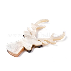 Cabochons acrilico&nbsp;KY-R024-13B