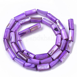 Perles de coquillages naturels d'eau douce&nbsp;SHEL-R047-01C