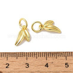Charms in ottone placcato di lunga durata&nbsp;KK-K381-08G-01