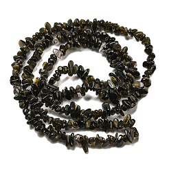 Natürliche goldenen Glanz Obsidian Perlen Stränge&nbsp;G-G0003-B46