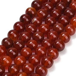 Chapelets de perles en cornaline naturelle&nbsp;GG-CBA1CAF-A01-10mm