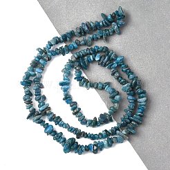 Natürliche Apatit Perlen Stränge&nbsp;G-F666-01B-02-01