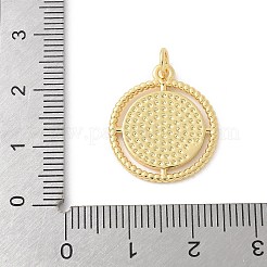 Messing Anhänger & Charms&nbsp;KK-P294-26G