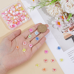 100 cabochon in resina di sakura&nbsp;MRMJ-ME0001-07
