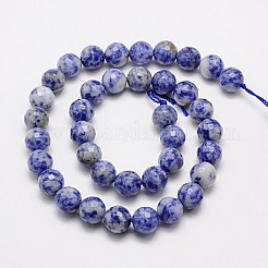 Natürliche blaue Fleck Jaspis Perlen Stränge&nbsp;G-G542-6mm-01