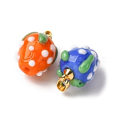 Manuelle Bunte Malerei Anhänger & Charms&nbsp;LAMP-S069-05A