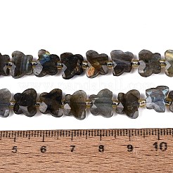 Chapelets de perles en labradorite naturelle &nbsp;G-N371-10A-01