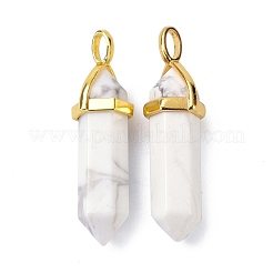 Natürliche Howlith-Anhänger&nbsp;G-G025-01G-43