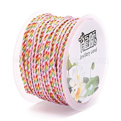 Cordino decorativo intrecciato multicolore in nylon&nbsp;NWIR-Z003-E19