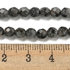 Natürliche Larvikit-Perlenstränge&nbsp;G-E571-A09-04