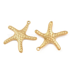 Pendentifs en acier inoxydable 304&nbsp;STAS-P424-01G