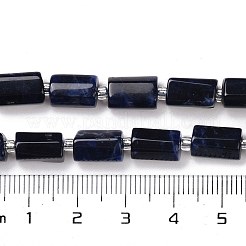 Natur Sodalith Perlen Stränge&nbsp;G-N327-06-28