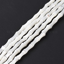 Fili di perline di conchiglia trochus naturale&nbsp;SSHEL-H070-04