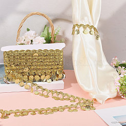 Nastro di pizzo con nappe in filo metallico di poliestere e paillettes&nbsp;OCOR-WH0105-237B