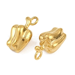 Pendentifs en acier inoxydable 304&nbsp;STAS-B167-26C-G