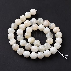 Bianco naturale perline pietra di luna fili&nbsp;G-F674-08-10mm-01