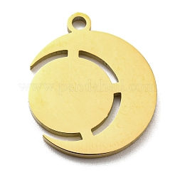 Pendentifs en acier inoxydable chirurgical 316L avec placage ionique (IP)&nbsp;STAS-M317-12G