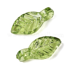 Breloques en acrylique transparent&nbsp;X-TACR-F009-11C