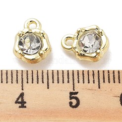 Encantos de rhinestone de aleación de chapado en rack&nbsp;PALLOY-F311-17G-01