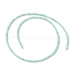 Eau douce naturelle de coquillage perles brins&nbsp;SHEL-P017-01A-08