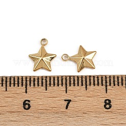 Anhänger aus 304 Edelstahl&nbsp;STAS-K295-13G
