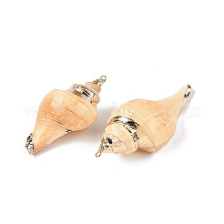 Natürliche Muschelschale große Anhänger&nbsp;SSHEL-N038-24A
