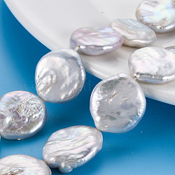 Naturali keshi perline perle fili, perla d'acqua dolce coltivata, rotondo e piatto, colore conchiglia, 15~29x14~19x3~8mm, Foro: 0.6 mm, circa 16~20pcs/filo, 15.35 pollice (39 cm)