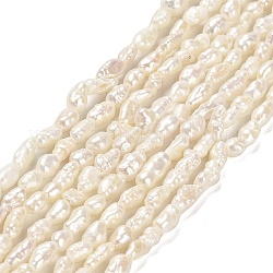 Hebras de perlas keshi de perlas barrocas naturales, perla cultivada de agua dulce, oval, grado 4a+, rosa vieja, 2~3.5x3~7.5mm, agujero: 0.5 mm, aproximamente 75~80 pcs / cadena, 13.98'' (35.5 cm)