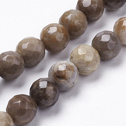 Natürliche Silberblatt Jaspis Perlen Stränge, Runde, facettiert, Sattelbraun, 10 mm, Bohrung: 1 mm, ca. 21 Stk. / Strang, 8 Zoll (20.6 cm)