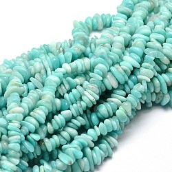 Amazonite naturelle perles de puce brins, 5~14x4~10mm, Trou: 1mm, environ 15.5 pouce ~ 16.1 pouces