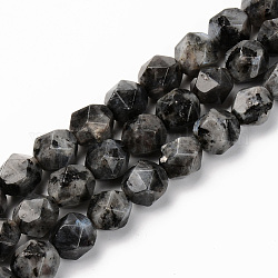 Natürliche Larvikit-Perlenstränge, sternförmige runde Perlen, facettiert, 9~10x9 mm, Bohrung: 1.2 mm, ca. 36 Stk. / Strang, 14.56 Zoll (37 cm)