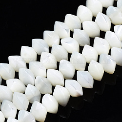 Fili di perline trochid naturali / trochus, candeggiare, rondelle, bianco, 6x3.5mm, Foro: 1 mm, circa 106pcs/filo, 15.16 pollice (38.5 cm)
