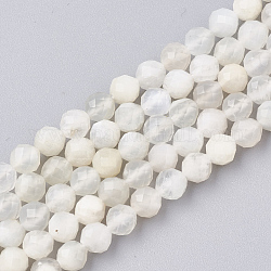 Natürlichen weißen Mondstein Perlen Stränge, facettiert, Runde, 4 mm, Bohrung: 0.8 mm, ca. 93 Stk. / Strang, 15.3 Zoll