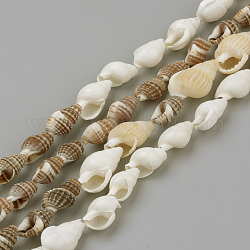 Naturali di mare shell perle fili, per la creazione di gioielli fai da te, colore misto, 8~18x5~10x5~10mm, circa 109pcs/filo, 48 pollice