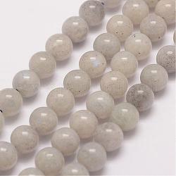 Chapelets de perles en labradorite naturelle, ronde, 10mm, Trou: 1mm, Environ 38 pcs/chapelet, 15.5 pouce