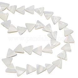 Gomakerer 1 filo circa 34 pezzi di perle di conchiglia naturale, Perle triangolari di conchiglia naturale bianca anticata, fili di conchiglie piatte vuote, per la creazione di gioielli, collane e bracciali