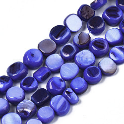 Chapelets de perles de coquille de trochid / trochus coquille, teinte, plat rond, bleu moyen, 5~9x1~6mm, Trou: 0.8mm, Environ 49~50 pcs/chapelet, 15.16 pouce ~ 15.87 pouces (38.5 cm ~ 40.3 cm)