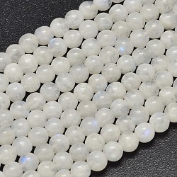 Round Grade A Natural Rainbow Moonstone Bead Strands, 5.5mm, Hole: 1mm, about 69~73pcs/strand, 15.5 inch