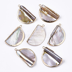 Natural Freshwater Shell Pendants, with Iron Loops, Edge Golden Plated, Half Round, 33~34x19x6.5~8mm, Hole: 1.8mm