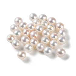 Natur kultivierten Süßwasser Perlen, Hälfte gebohrt, Klasse 5 a, Runde, Rauch weiss, 5~5.5 mm, Bohrung: 0.9 mm