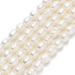 Fili di perle di perle d'acqua dolce coltivate naturali, riso, biancheria, 5~7x4~4.5mm, Foro: 0.6 mm, circa 62~66pcs/filo, 13.78'' (35 cm)
