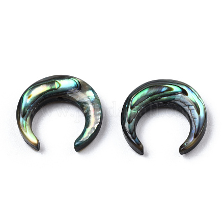Perles de coquille d'ormeau naturel/coquille de paua SSHEL-N034-122B-01-1