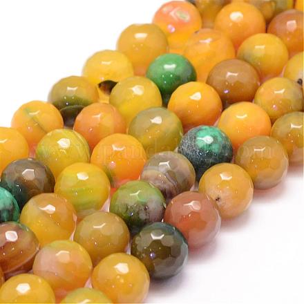 Natural Agate Bead Strands G-K155-A-10mm-F09-1