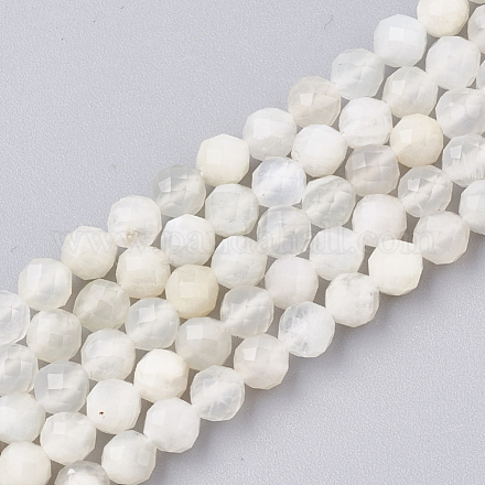 Natürlichen weißen Mondstein Perlen Stränge G-T107-13-1