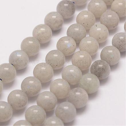 Chapelets de perles en labradorite naturelle G-P259-05-10mm-1