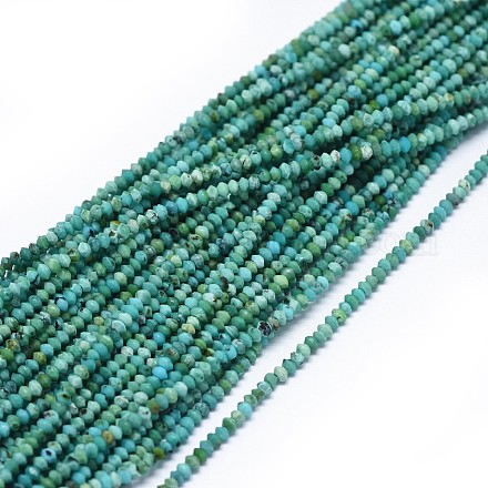 Chapelets de perles en turquoise naturelle G-I249-D01-1