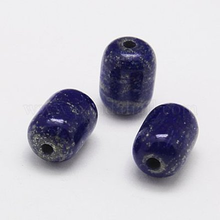 Natural Lapis Lazuli Beads G-G430-04-1