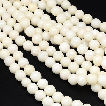 Dyed Natural White Coral Round Bead Strands CORA-Q025-8mm-04-1