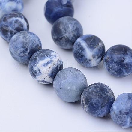 Chapelets de perles en sodalite naturelle G-Q462-8mm-07-1