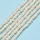 Natural Cultured Freshwater Pearl Beads Strands PEAR-A005-18-2